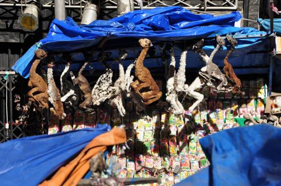 Lhamas mumificadas à venda na região da Calle de las Brujas, em La Paz, capital da Bolívia